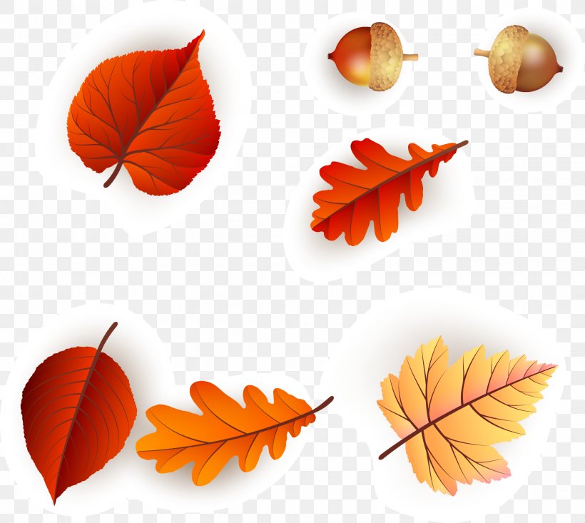 Leaf Orange, PNG, 2070x1851px, Leaf, Orange, Petal Download Free