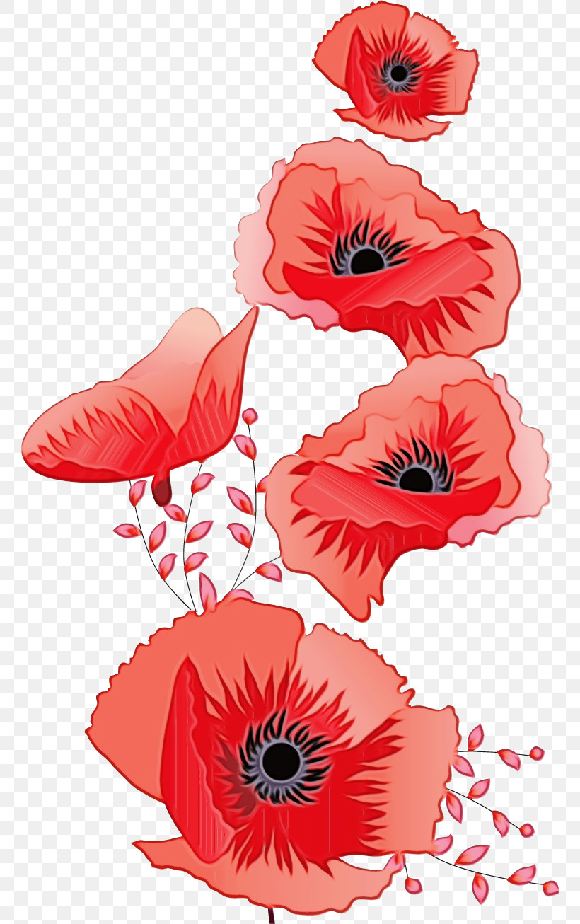 Oriental Poppy Flower Red Plant Corn Poppy, PNG, 760x1306px, Flower Border, Coquelicot, Corn Poppy, Floral Line, Flower Download Free