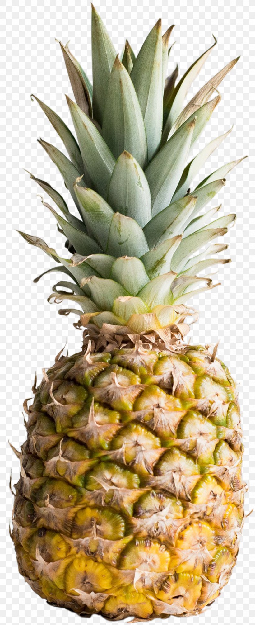 Pineapple Smoothie Food Fruit Whole Grain, PNG, 1021x2500px, Pineapple, Ananas, Bromeliaceae, Can, Cereal Download Free