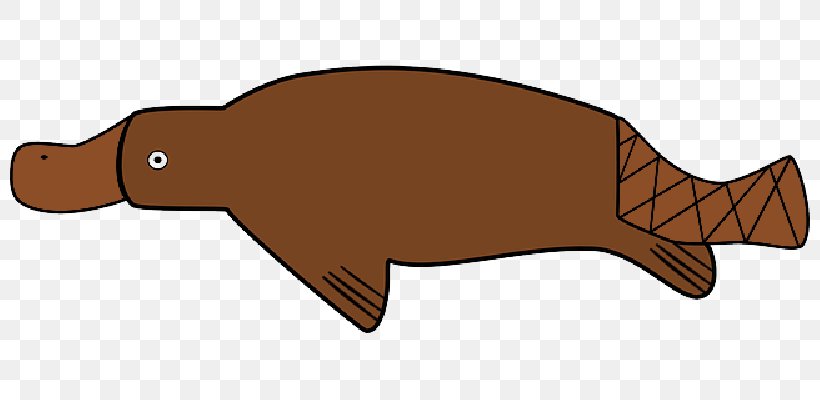 Platypus Clip Art Image Monotreme Free Content, PNG, 800x400px, Platypus, Anteater, Beaver, Blog, Duck Download Free