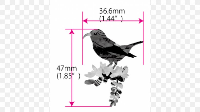 Sticker Hawaiian Honeycreeper Bird Decal Text, PNG, 1000x562px, Sticker, Adhesive, Beak, Bird, Decal Download Free