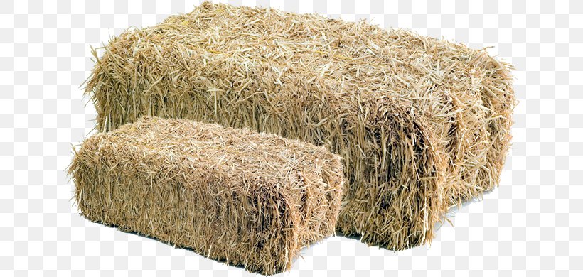 Straw Background, PNG, 642x390px, Hay, Advertising, Cabo Rojo, Fodder, Grass Download Free