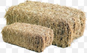 Straw Background, PNG, 901x534px, Hay, Agriculture, Baler, Cuisine ...