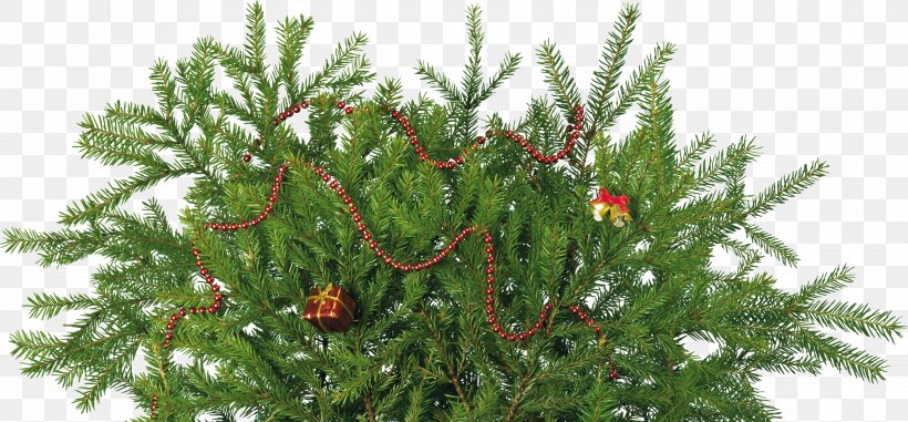 New Year Tree Christmas Ornament Clip Art, PNG, 5700x2655px, New Year Tree, Biome, Branch, Christmas, Christmas Decoration Download Free