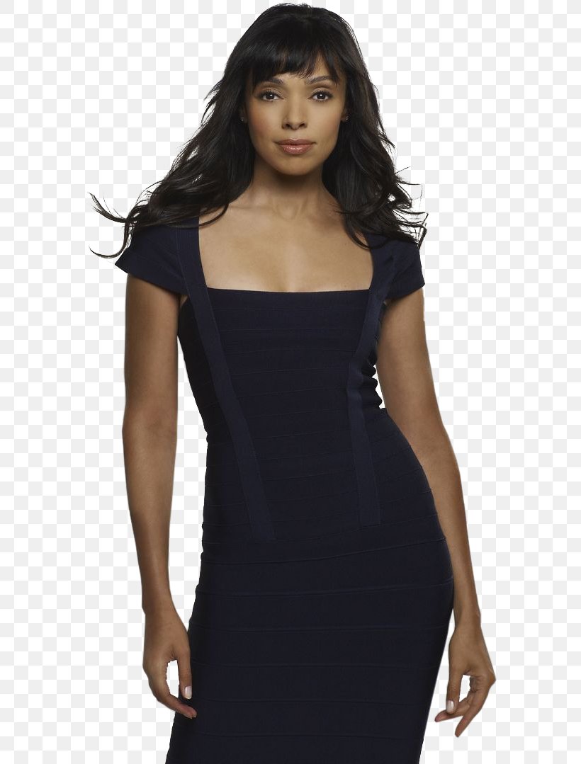 Bones Tamara Taylor as Dr. Camille Saroyan in Tight Black Dress Gray  Background 8 x 10 inch photo at 's Entertainment Collectibles Store