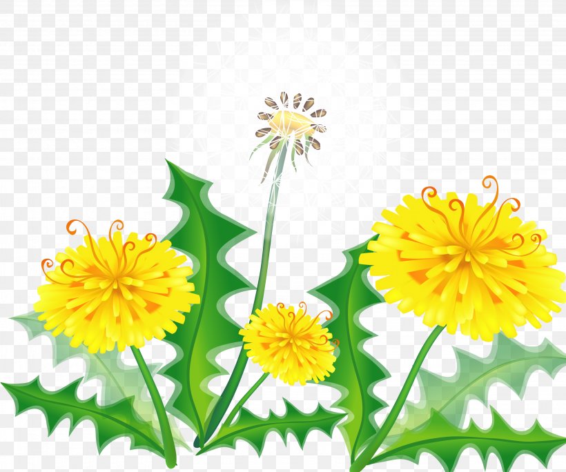 Vector Graphics Clip Art Illustration Drawing, PNG, 3080x2571px, Drawing, Borders And Frames, Daisy Family, Dandelion, English Marigold Download Free