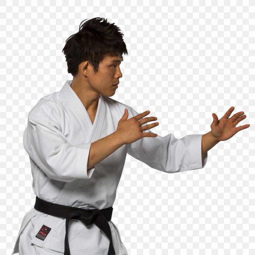 Karate Gi Brazilian Jiu-jitsu Gi Black Belt Martial Arts, PNG, 1200x1200px, Karate Gi, Arm, Black Belt, Brazilian Jiujitsu, Brazilian Jiujitsu Gi Download Free