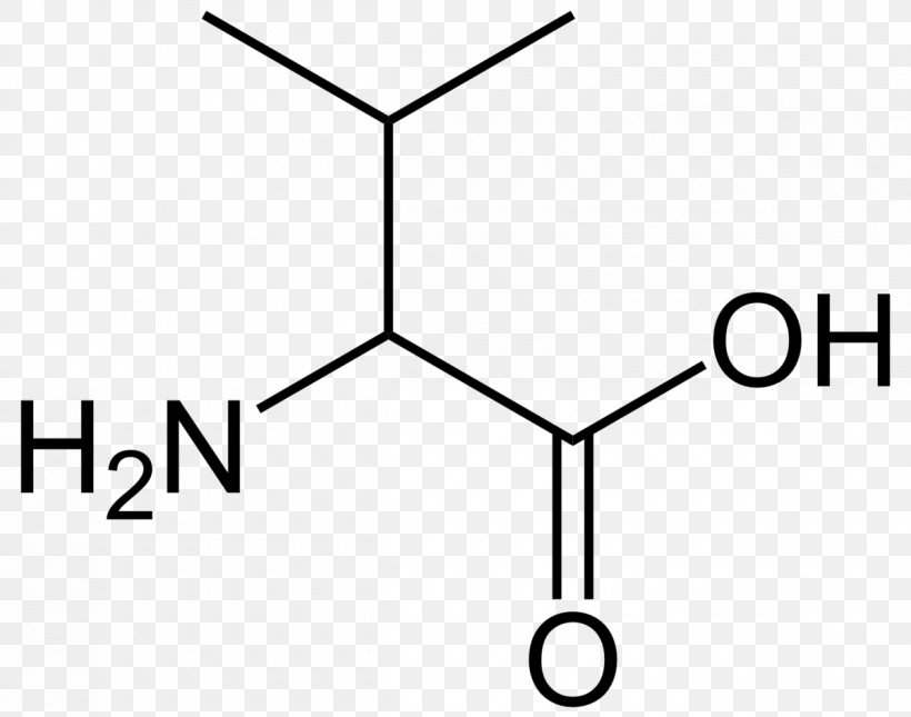 Alanine Amino Acid Aspartic Acid Proline Cysteine, PNG, 1200x945px, Alanine, Acid, Amino Acid, Area, Arginine Download Free