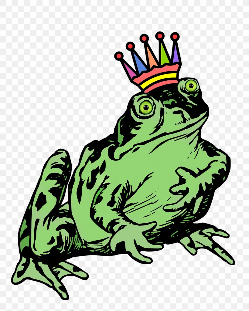 Frog Drawing Clip Art, PNG, 1024x1280px, Frog, Amphibian, Artwork, Drawing, Fauna Download Free