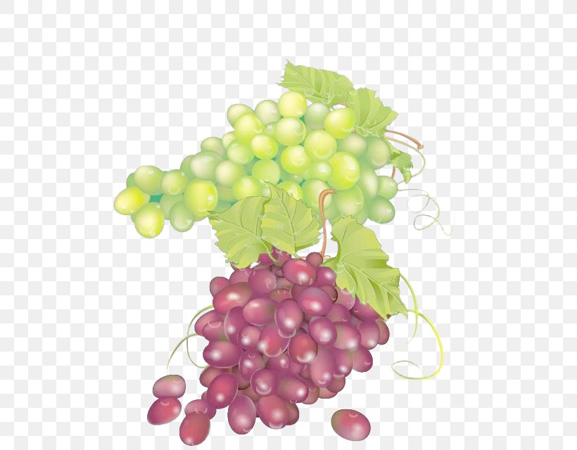 Grape Juice Seedless Fruit, PNG, 680x640px, Grape, Auglis, Drawing, Flowering Plant, Food Download Free