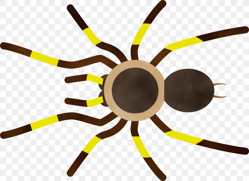 Insect Yellow Line, PNG, 3000x2186px, Cartoon Spider, Insect, Line, Paint, Watercolor Download Free
