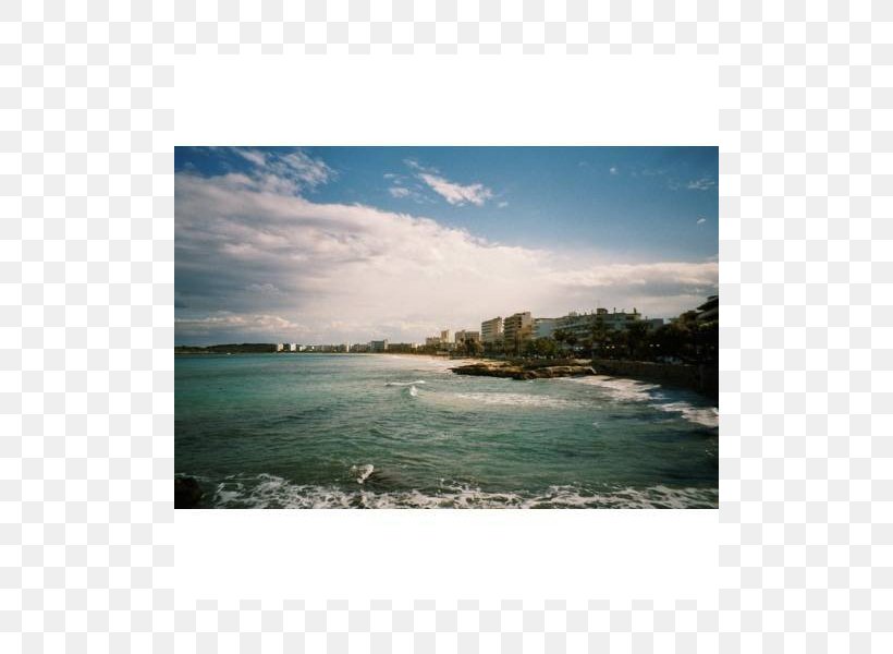 Shore Sea Beach Coast Ocean, PNG, 800x600px, Shore, Bay, Beach, Calm, Coast Download Free