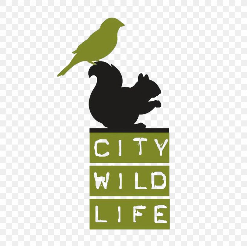 City Wildlife Inc 11th Street Bridge Park Urban Wildlife Animal, PNG, 960x957px, Wildlife, Animal, Animal Control And Welfare Service, Animal Rescue Group, Animal Shelter Download Free