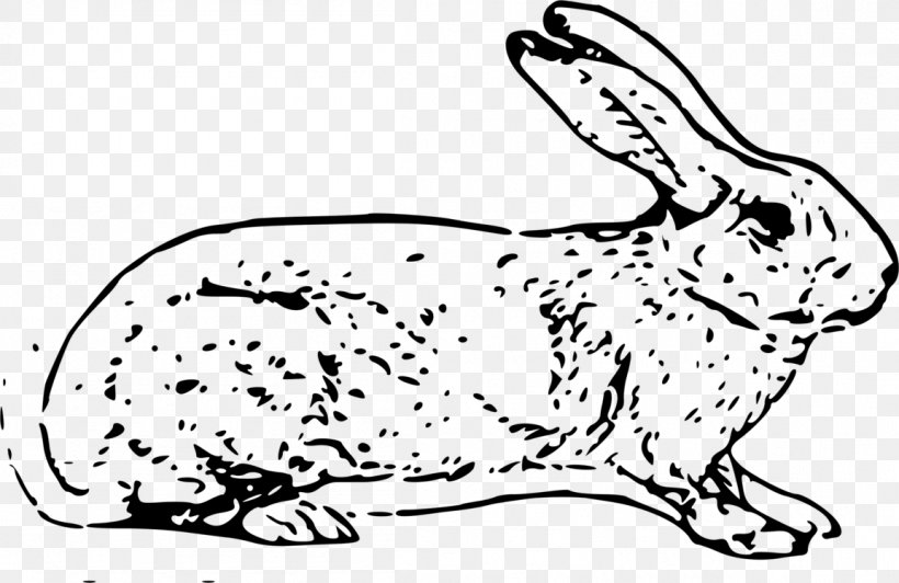 Easter Bunny Background, PNG, 1154x750px, Hare, Angora Rabbit, Animal Figure, Audubons Cottontail, Blackandwhite Download Free