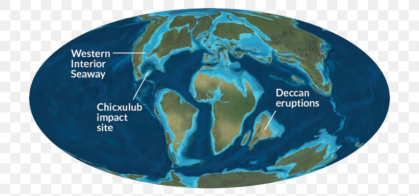 /m/02j71 Earth Organism, PNG, 730x384px, Earth, Globe, Organism, World Download Free