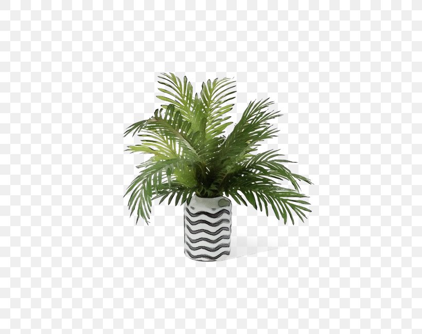 Palm Tree, PNG, 650x650px, Watercolor, Arecales, Flower, Flowerpot, Houseplant Download Free