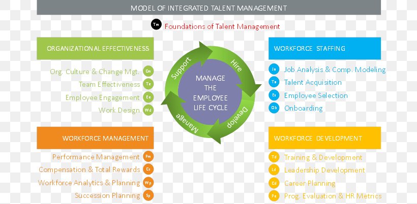 Talent Management Organization Leadership Employee Engagement, PNG ...