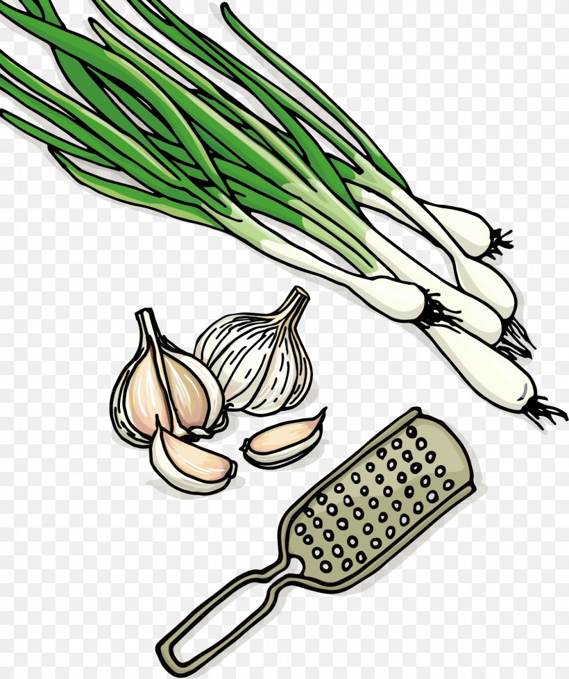Vegetable Garlic, PNG, 1631x1946px, Vegetable, Allium Fistulosum, Designer, Food, Garlic Download Free