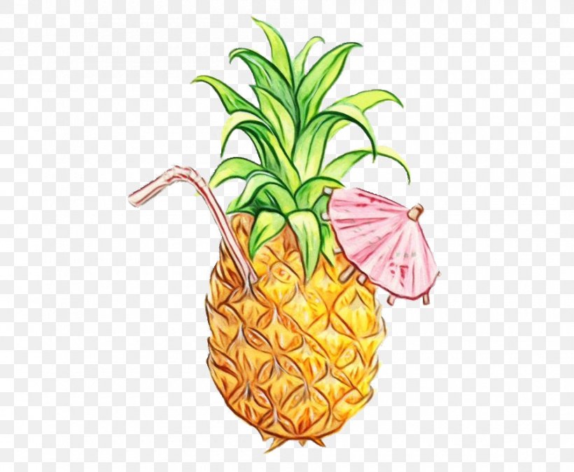 Watercolor Plant, PNG, 900x740px, Watercolor, Ananas, Drawing, Food, Fruit Download Free