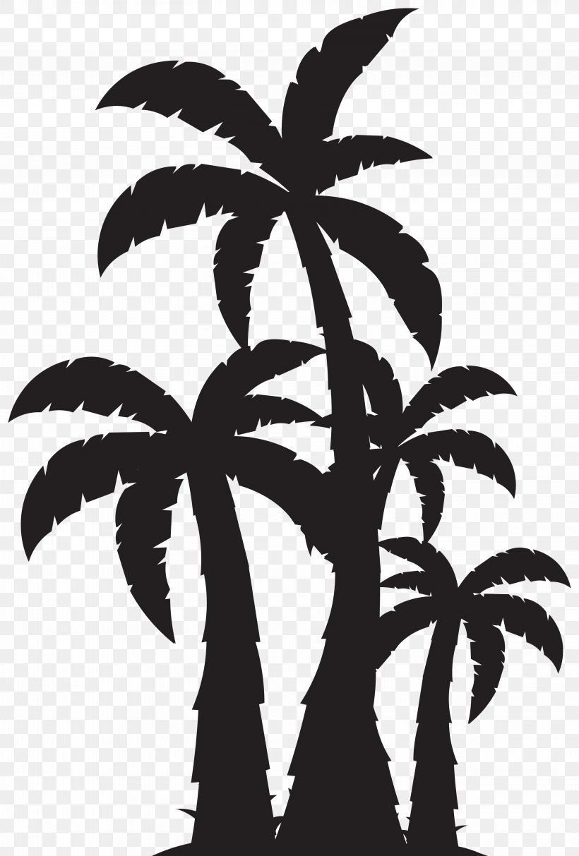 Arecaceae Clip Art, PNG, 5408x8000px, Arecaceae, Arecales, Black And White, Branch, Coconut Download Free