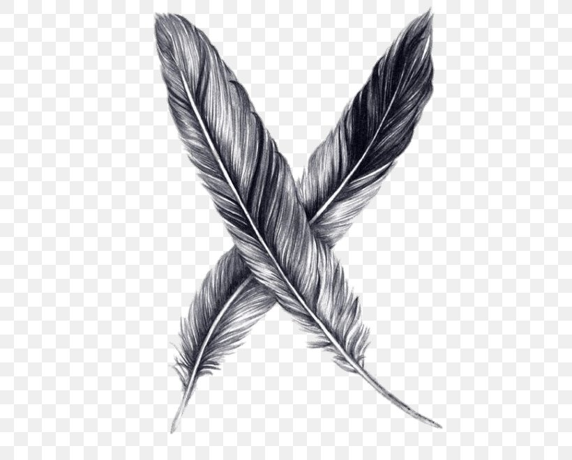 Drawing Feather Pencil Sketch, PNG, 600x660px, Drawing, Art, Art Museum, Bird, Black And White Download Free