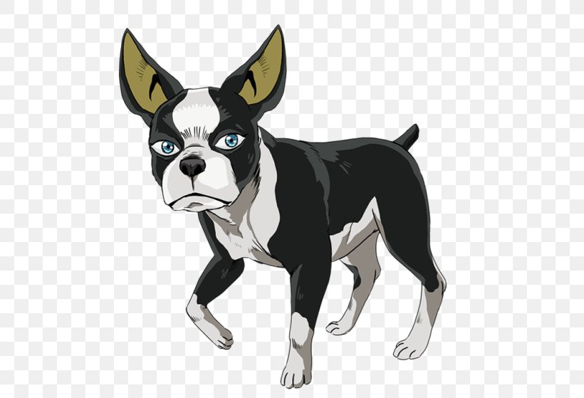 Boston Terrier Dog Breed Non-sporting Group Breed Group (dog) Snout, PNG, 500x559px, Boston Terrier, Breed, Breed Group Dog, Carnivoran, Dog Download Free