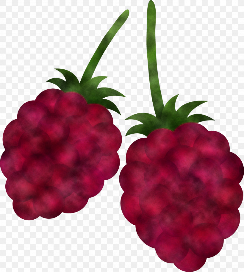 Pineapple, PNG, 2690x3000px, Fruit, Accessory Fruit, Alpine Strawberry, Berry, Blackberry Download Free