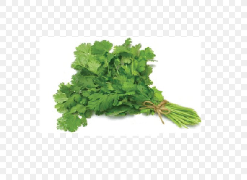 Coriander Herb Vegetable Food Pea, PNG, 600x600px, Coriander, Coriander Green, Flavor, Food, Garlic Download Free