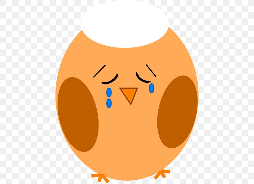 Owl Clip Art, PNG, 462x596px, Owl, Beak, Bird, Bird Of Prey, Crying Download Free