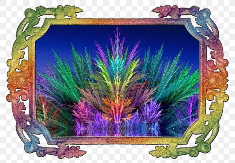 Picture Frames Feather, PNG, 1070x746px, Picture Frames, Aquarium Decor, Feather, Picture Frame, Plant Download Free