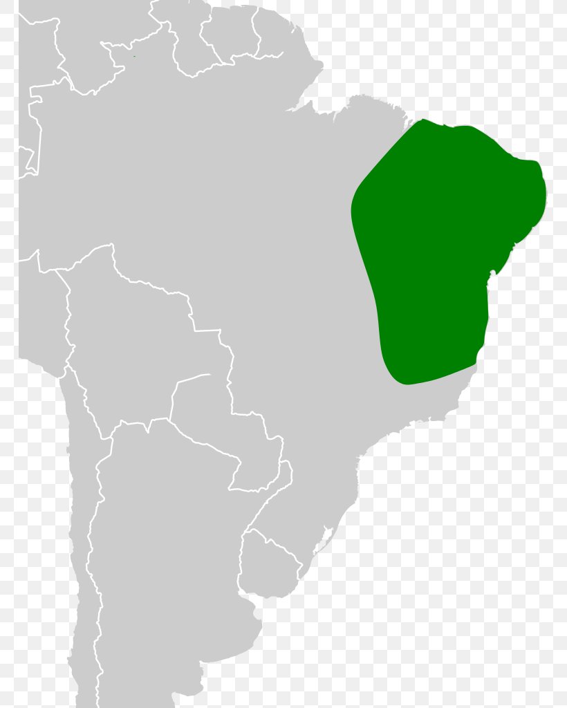 South America Green Map Tuberculosis Americas, PNG, 765x1024px, South America, Americas, Green, Map, Silhouette Download Free