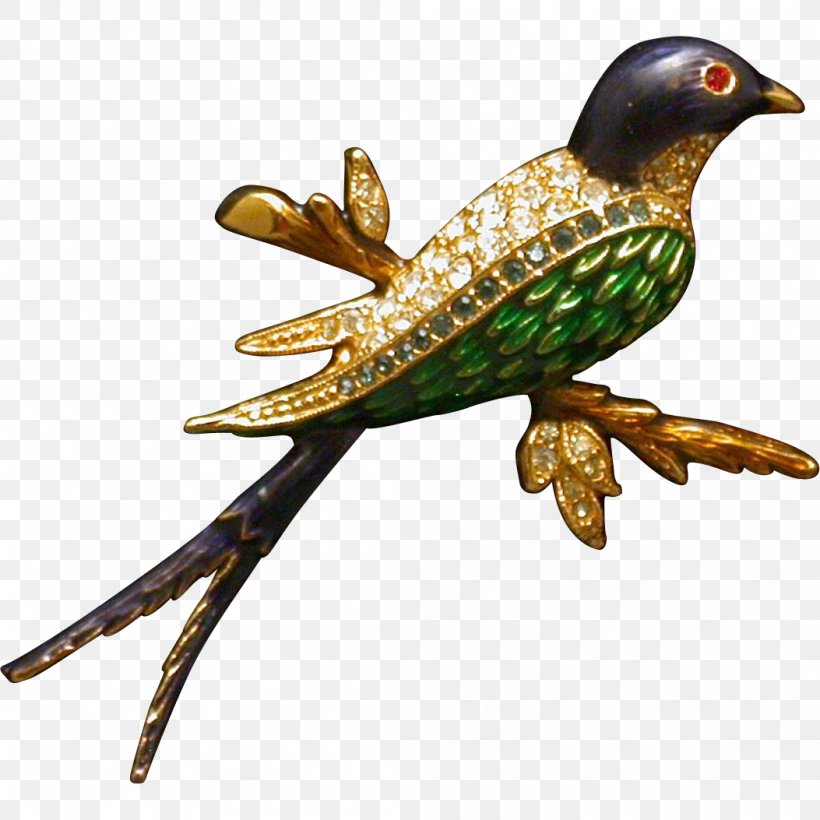 Bird Piciformes Beak Coraciiformes Feather, PNG, 1053x1053px, Bird, Beak, Coraciiformes, Cuckoos, Cuculiformes Download Free
