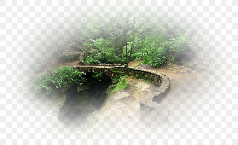 Bridge Painting Landscape, PNG, 800x500px, Bridge, Grass, Landscape, Painting, Plant Download Free