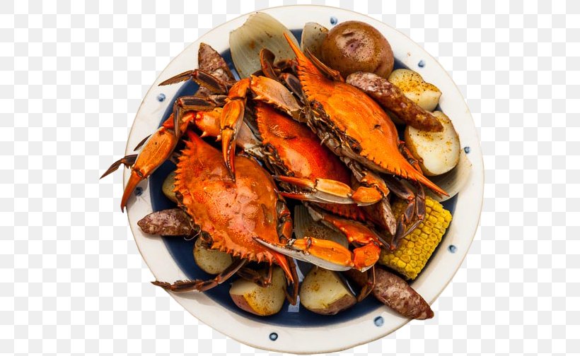Crab Portuguese Cuisine Oyster Seafood, PNG, 555x504px, Crab, Animal Source Foods, Chesapeake Blue Crab, Crab Boil, Dish Download Free