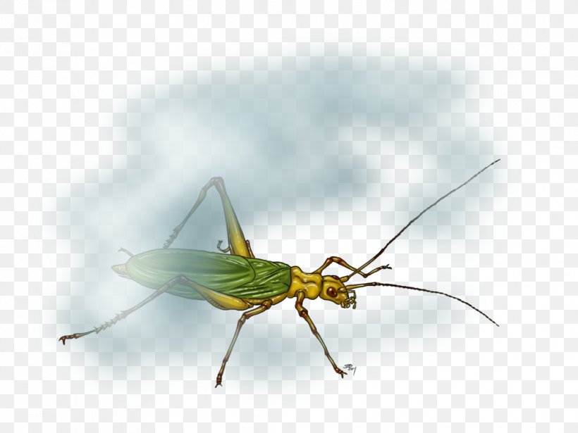 Grasshopper Locust Art Insect Wing Cricket Wireless, PNG, 1032x774px, Grasshopper, Art, Arthropod, Artist, Community Download Free