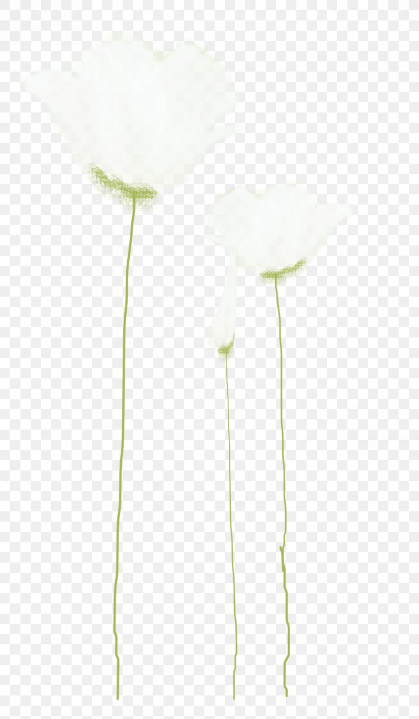Petal Cut Flowers, PNG, 1166x2000px, Petal, Cut Flowers, Flower, Plant Stem, White Download Free