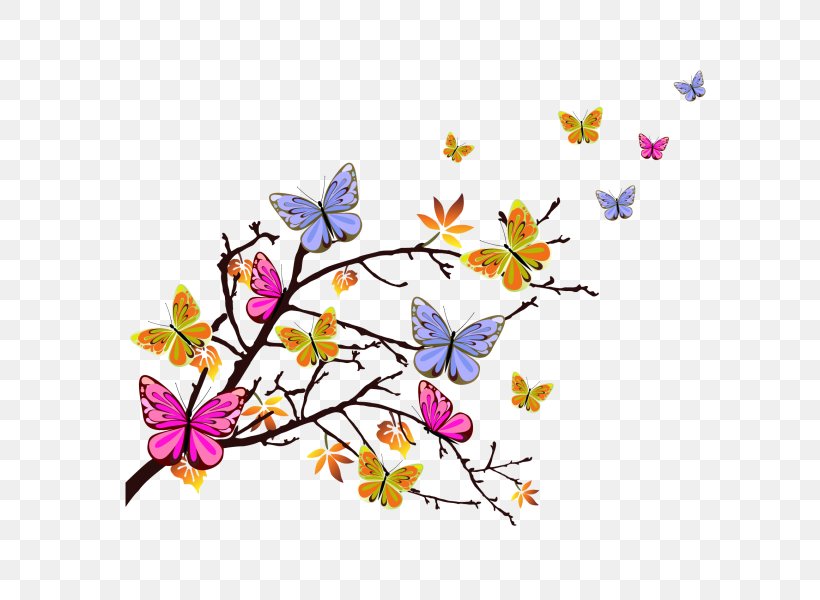 Butterfly Color Clip Art, PNG, 600x600px, Butterfly, Art, Artwork, Blossom, Branch Download Free