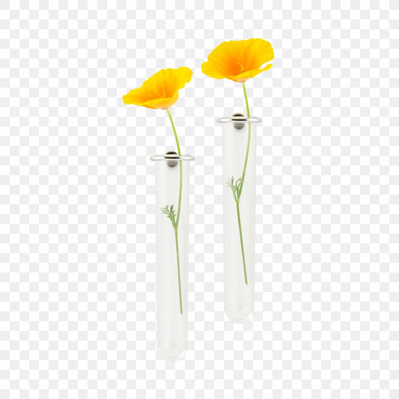 Cut Flowers Vase Petal, PNG, 1024x1024px, Cut Flowers, Flower, Flowerpot, Orange, Petal Download Free