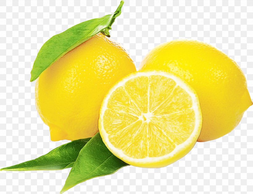 Lemon Citrus Persian Lime Fruit Natural Foods, PNG, 3000x2301px, Watercolor, Citric Acid, Citrus, Fruit, Lemon Download Free
