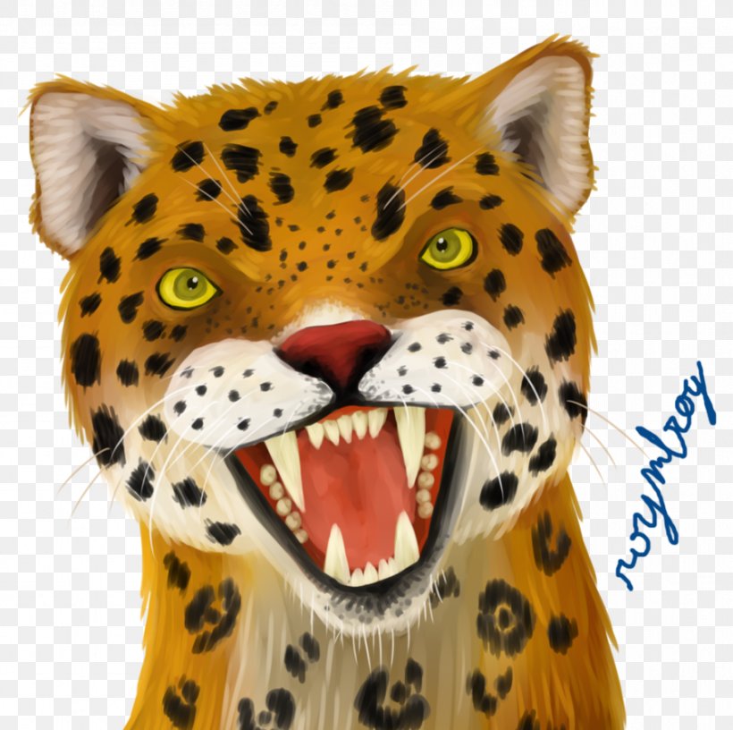 Leopard Cheetah Whiskers Snout SEPECAT Jaguar, PNG, 896x892px, Leopard, Animal, Big Cats, Carnivoran, Cat Like Mammal Download Free