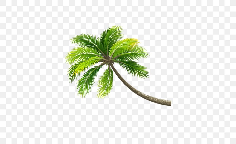 Vector Graphics Clip Art Image Desktop Wallpaper, PNG, 500x500px, Palm Trees, Arecales, Branch, Coconut, Date Palm Download Free
