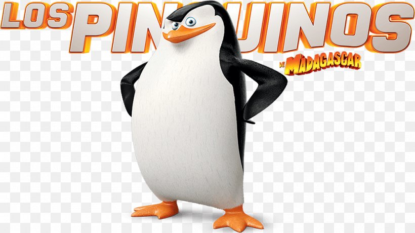 Skipper Kowalski Penguin Marty Madagascar, PNG, 1000x562px, Skipper, Beak, Bird, Dreamworks Animation, Film Download Free