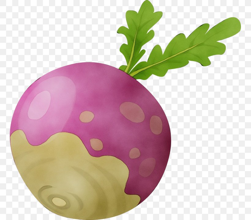 Watercolor Flower Background, PNG, 755x720px, Watercolor, Beetroot, Flower, Food, Gigantic Turnip Download Free