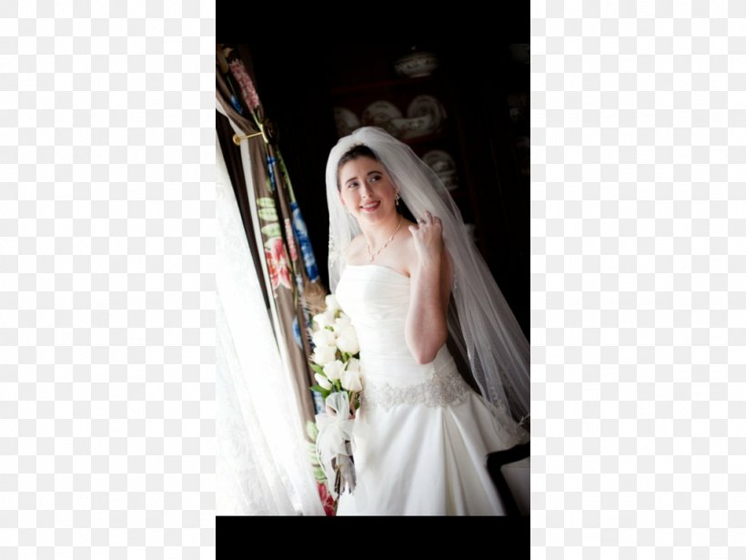 Wedding Dress Bride Veil, PNG, 1024x768px, Wedding Dress, Bridal Accessory, Bridal Clothing, Bridal Veil, Bride Download Free