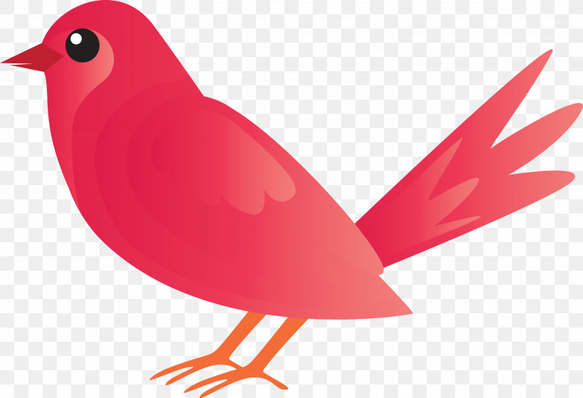 Bird Beak Red Cardinal Songbird, PNG, 2999x2048px, Watercolor Bird, Beak, Bird, Cardinal, European Robin Download Free