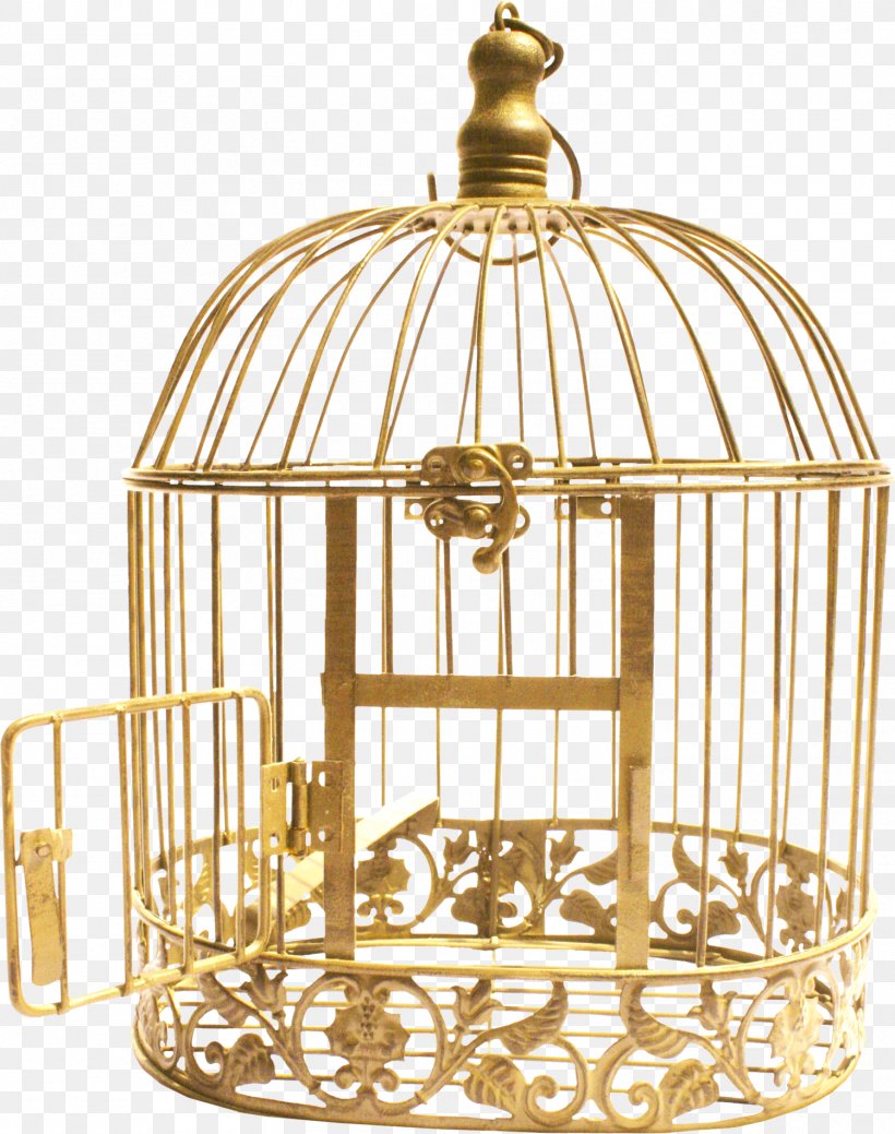 Cell Bird Cage Download, PNG, 1499x1900px, Cell, Bird, Brass, Cage, Database Download Free