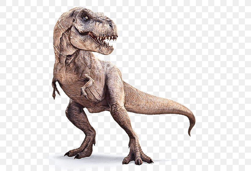 Dinosaur, PNG, 530x560px, Dinosaur, Animal Figure, Extinction, Pachycephalosaurus, Tyrannosaurus Download Free
