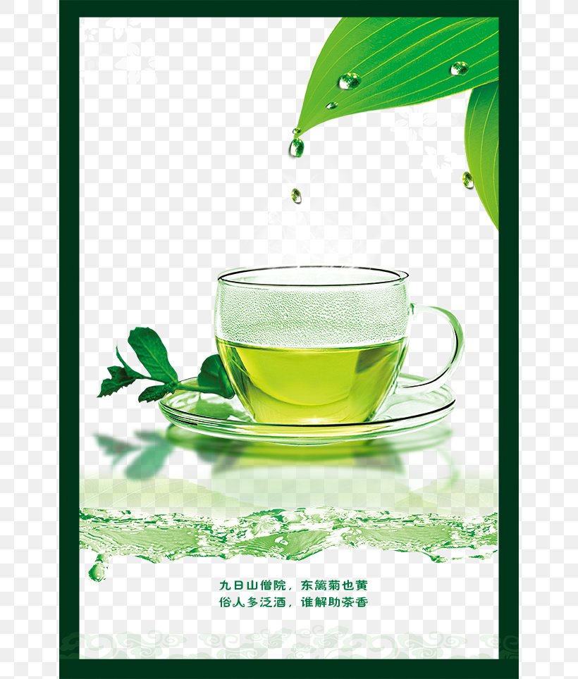 Green Tea Teacup Longjing Tea, PNG, 652x964px, Tea, Black Tea, Brand, Camellia Sinensis, Coffee Cup Download Free