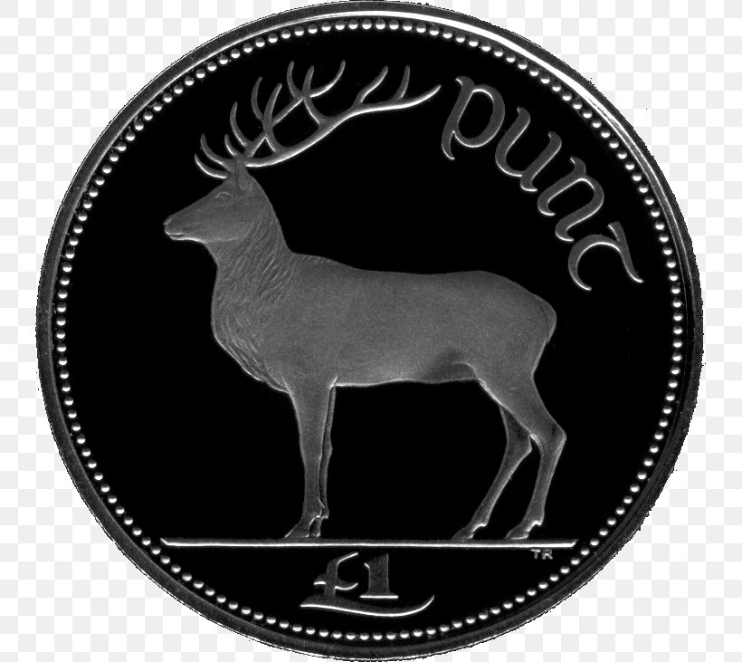 Ireland Irish Pound One Pound Euro Coin, PNG, 741x731px, 1 Euro Coin, Ireland, Antler, Black And White, Coin Download Free