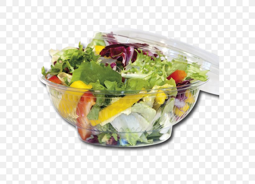 Lettuce Plate Vegetarian Cuisine Plastic Salad, PNG, 591x591px, Lettuce, Bowl, Dish, Dishware, Flower Download Free
